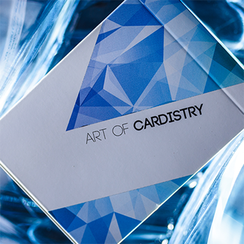 [프로즌아트]Frozen Art of Cardistry Playing Cards by Bocopo