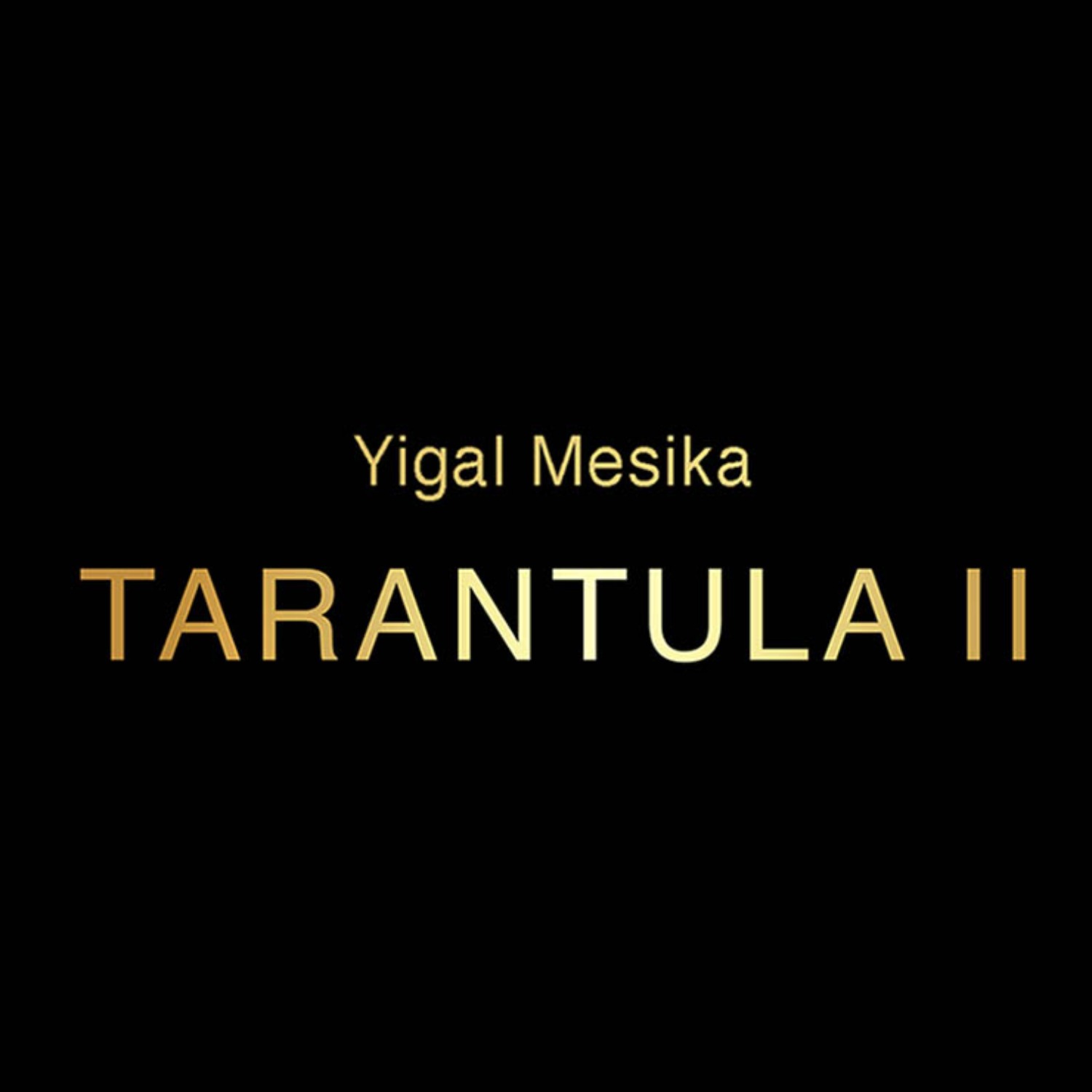 [타란튤라 II ] Tarantula II  by Yigal Mesika - 관객의 반지를 공중부양 시키고 심지어 관객의 손가락으로 이동하여 끼워집니다.