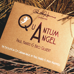 퀀텀엔젤(Paul Harris Presents Quantum Angel)