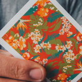 [플로라덱] Flora Playing Cards by Paul Robaia
