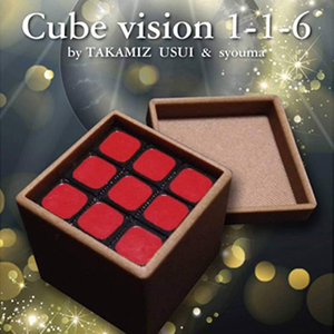 [큐브비전]Cube Vision 1-1-6 by Takamiz Usui and Syouma - 큐브를 이용한 예언마술+반전이 있는 피날레가 있습니다.