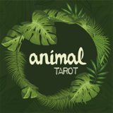 [애니멀타로] Animal Tarot by The Other Brothers - 관객이 임의로 선택한 동물이 카드퍼즐로 예언되어 있습니다..